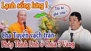 Tin Mới 1 Linh Mục VN Lên Tiếng Về Sư Thầy Tại Chùa Ba Vàng - Xin Cầu Nguyện l Đinh Thập Tự