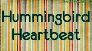 Hummingbird Heartbeat - Katy Perry - Lyrics On Screen