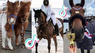 The Cutest HORSES Equestrian TikTok Compilation #103