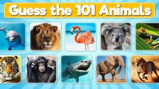 Guess the Animal Quiz  101 Animals Quiz