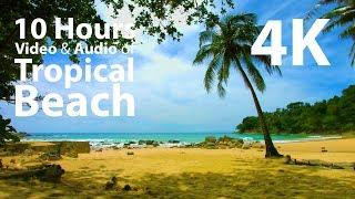 4K UHD 10 hours - Beach Lapping Waves Birds Singing - mindfulness relaxing meditation nature