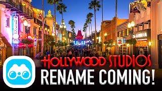 Disneys Hollywood Studios RENAME CONFIRMED with POTENTIAL CANDIDATES - Disney News Update