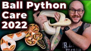 Ball Python Complete Care Guide 2022  The RIGHT WAY and What Has Changed
