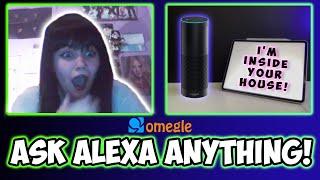 Ask Alexa Anything on OMEGLE