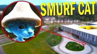 Drone Catches SMURF CAT IN REAL LIFE *WE LIVE WE LOVE WE LIE*