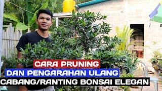 Pruning dan pengarahan ulang ranting bonsai elegan