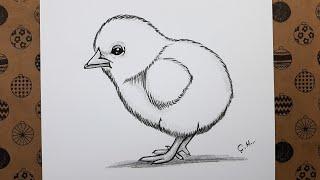 How to Draw Easy Chick Picture Step by Step Pencil Charcoal Drawings Easy