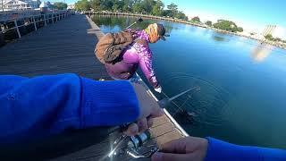 Landbased Fishing Pier Hop WilliamstownPrinces PierWebb Dock Victoria Melbourne