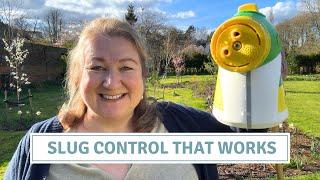 Effective Slug Control Using Nematodes  Cottoverdi