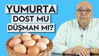 YUMURTA DOST MU DÜŞMAN MI? - Ne Kadar Yumurta Yemeliyiz?  5 Dakikada Sağlık