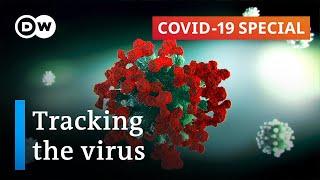 What scientists can learn from the coronavirus pandemic  COVID-19 Special