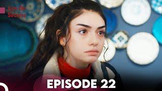 Life Of Secrets - Episode 22  Hayat Sirlari