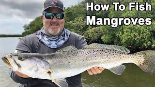 Fishing In Mangroves How To Catch More Redfish Snook & Trout