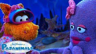 Sweetpea Sue Meets Ellie the Octopus  Pajanimals