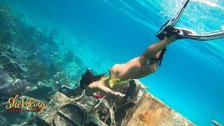 Shipwreck Sexy BIKINI Dive Swimming Underwater Beautiful Marine Environment Mandalay Wreck