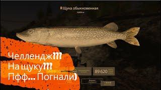 18+ Русская рыбалка 4. Недельный челлендж Щука