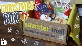 HAMSTER MAIL CHRISTMAS BOX 