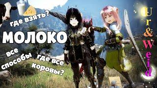 Где Взять Молоко в Black Desert? Все способы добычи молока и все споты сбора молока в БДО