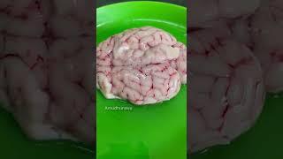 ஆட்டு மூளை வறுவல்  Brain Pepper Fry  Mutton Brain Masala  Goat Brain Recipe  Goat Brain Egg Fry