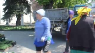 Тернопіль висаджують квіти