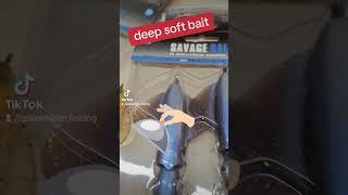 deep soft bait #fishing #pesca