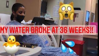 MY WATER BROKE AT 36 WEEKS  Vlog