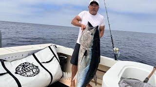 Unbelievable Catches Whitefish and Jumbo Bluefin Tuna at San Nicolas and Santa Barbara Islands