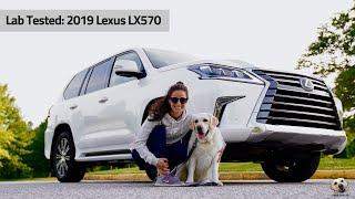 2019 Lexus LX570 Andie the Lab Review