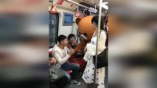 funny bear медведь в метро китайские приколы №1