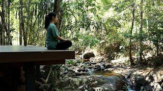 Mandi Embun Forest Bathing Ritual