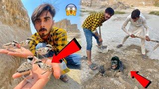 Nayab Birds Ke Bache Rescue Kar Leay Aur Gorilla Ko Maar Kar Dafna Dea