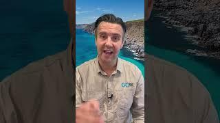 CARAVAN REGISTRATION RIP-OFF  Max’s Rant #registration #caravan #rv #caravanstories #rvlife