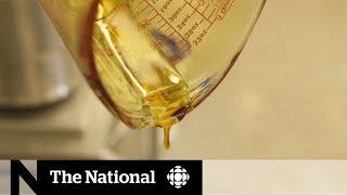 Cannabis oil shipped and sold illegally in Winnipeg