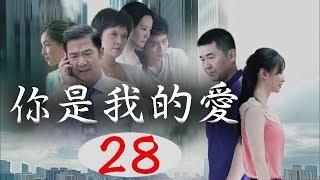 你是我的愛 28 經典家庭倫理情感電視連續劇 【主演：張國立 陳建斌 鄧婕】中產家庭的情感危機 j