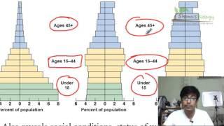 Age structure diagrams population pyramid