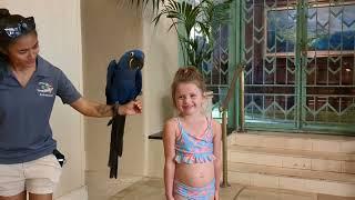 Zoe and the macaw 