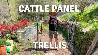 Cattle Panel Garden Trellises