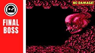 Ninja Gaiden II The Dark Sword of Chaos NES - Final Boss - Jaquio - No Damage