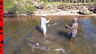 SHARKS HUNTED My Friends in 1FT. of SHALLOW WATER while FISHING