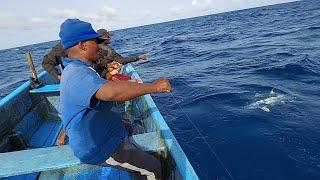 memancing ikan tuna sirip kuning keterampilan menangkap ikan handline video memancing yang luar biasa