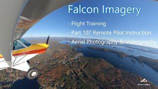 Falcon Imagery