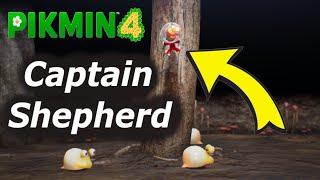 Facts about Shepherd + New Pikmin Game Idea