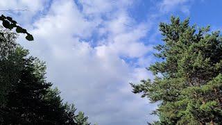 Sky over Moscow Strogino 03.07.21 HD video quality