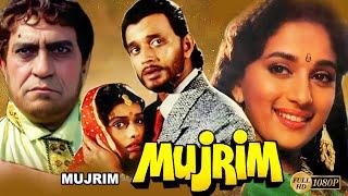 Mujrim  Hindi To Bengali Full Movie MithunMadhuri DixitSuresh OberoiShakti KapoorPallaviNutan