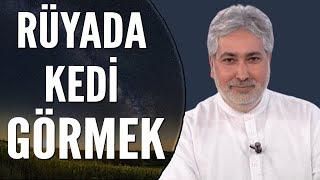 Rüyada Kedi Görmek Ne Anlama Gelir?  Mehmet Emin Kırgil