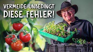 Tomaten richtig aussäen pikieren & pflegen  - Tipps & Tricks für eine erfolgreiche Anzucht