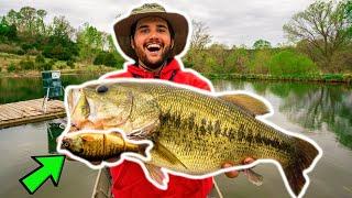 BIG SWIMBAIT Catches GIANT BASS in BACKYARD POND New Pond PB