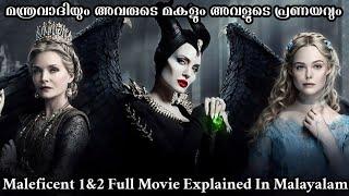 Maleficent 1 & 2 Full Movie Explained In Malayalam  Fantasy Movie Explanation In Malayalam