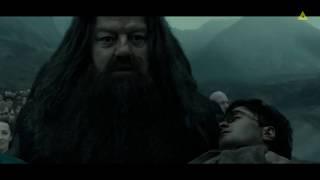 Hagrid carries Harrys body to Hogwart Harry Potter The Deathly Hallows 2