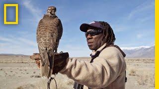 Hunting With Falcons How One City Man Found His Calling in the Wild  Short Film Showcase